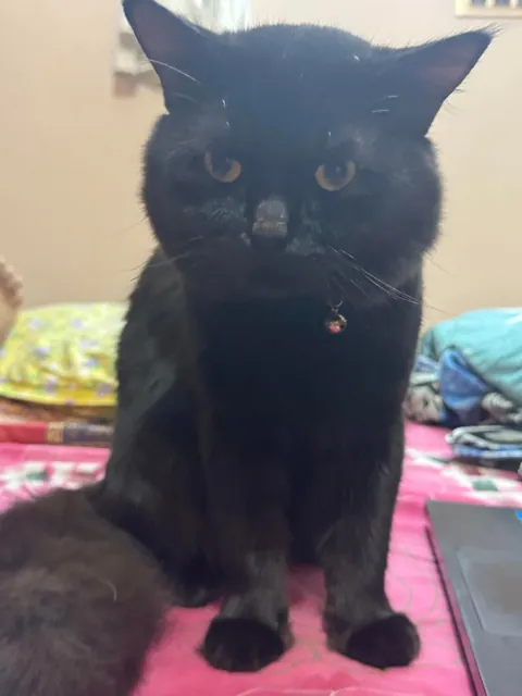 First Time Posting Him