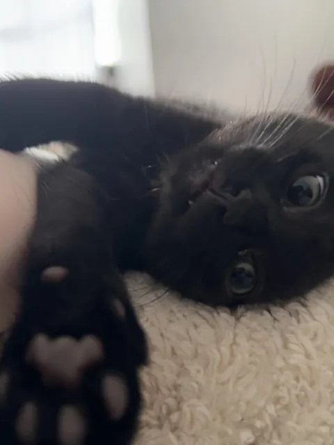 Not to brag, but this is what I see every morning