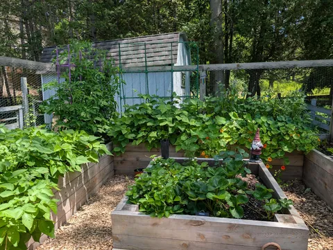 Caged bed garden, prison?