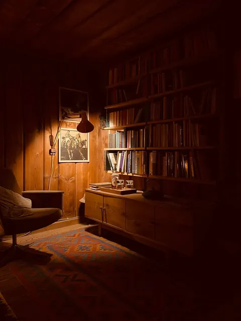 morning sun hitting my wood-paneled home office