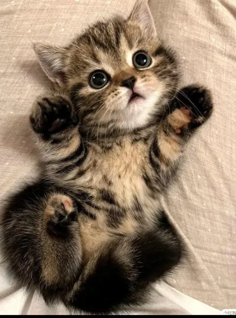 Look at this cutie 🥺🥺