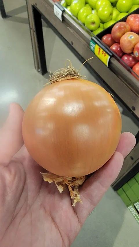 This flawless yellow onion