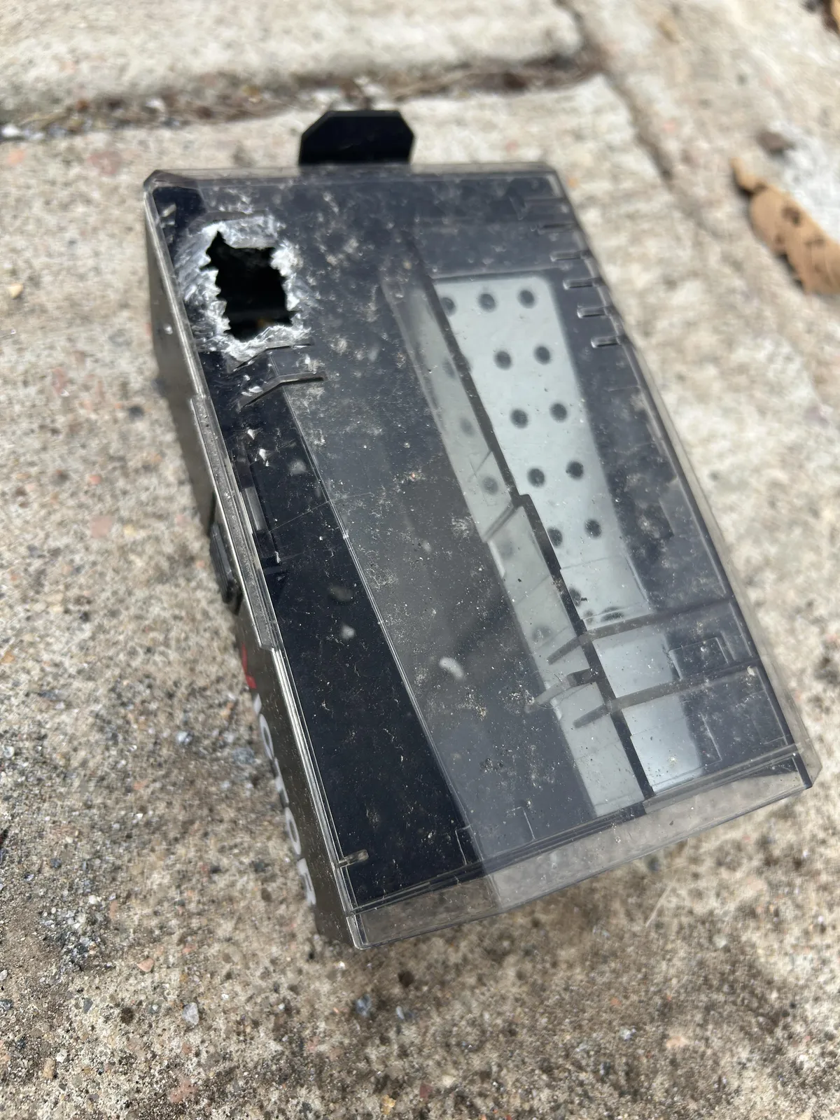 A mouse ate through the top of the live catch trap to get to the peanut butter