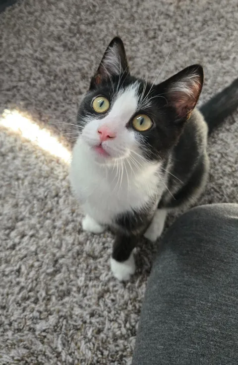 Today we let you go so you can thrive baby Remy.