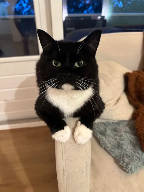 My little lady is already 6, time flies