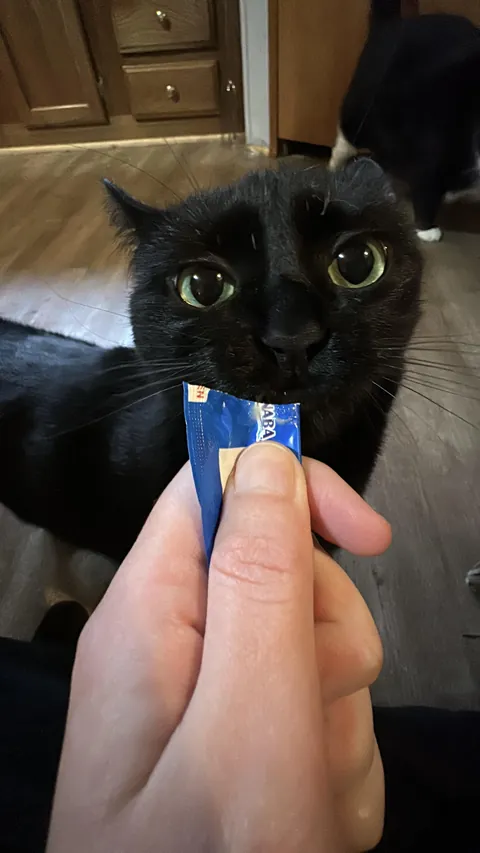 Too cute not to share lol