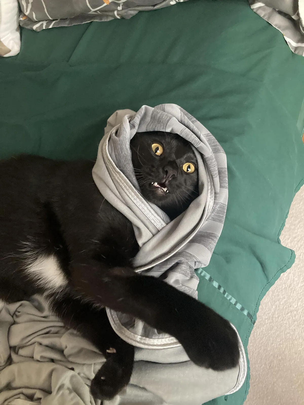 WHO HAS AWOKEN THE PHARAOH?