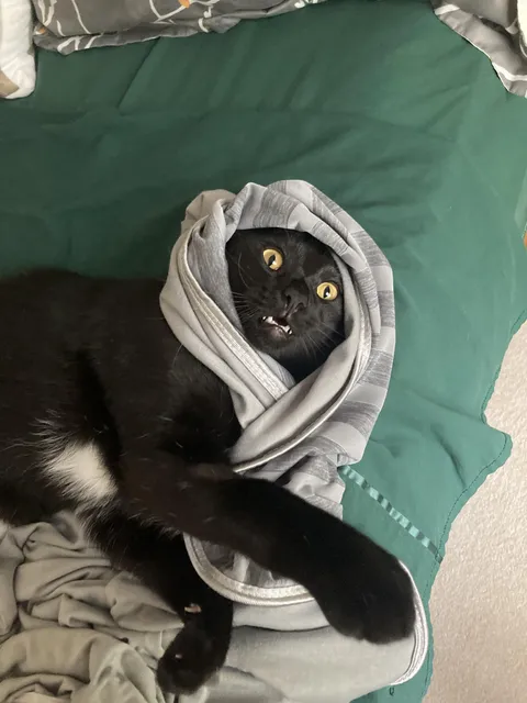 WHO HAS AWOKEN THE PHARAOH?