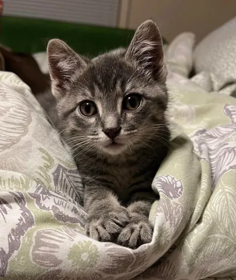 Best decision ever 🥰