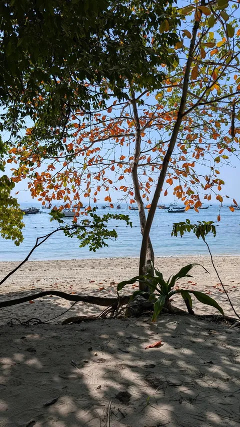 I went to Thailand and it was stunning.