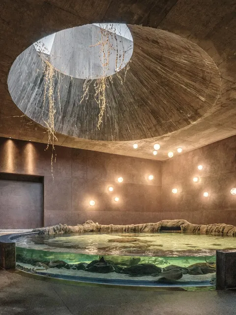 Sea of Cortez Research Center - Mazatlan, Mexico (2023)