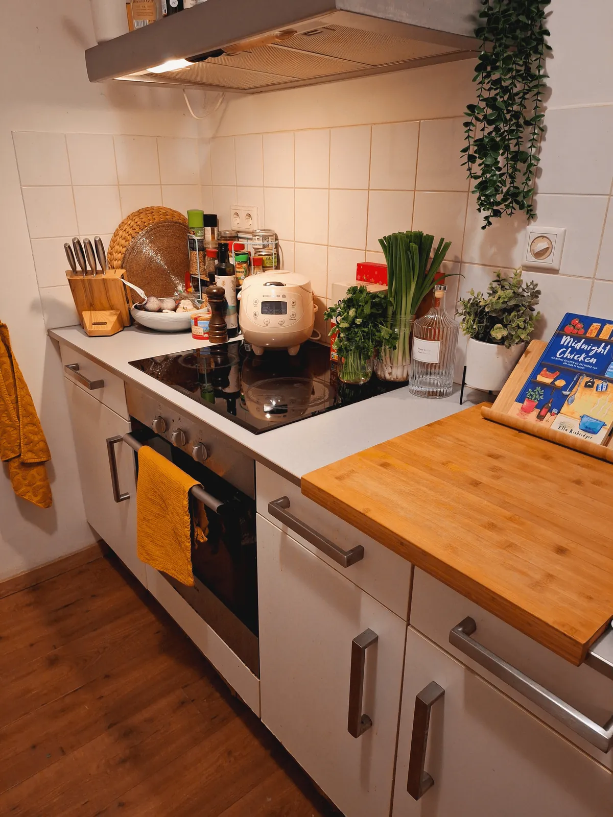 My cozy apartment in Amsterdam