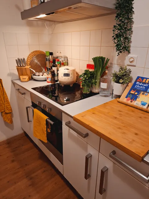 My cozy apartment in Amsterdam