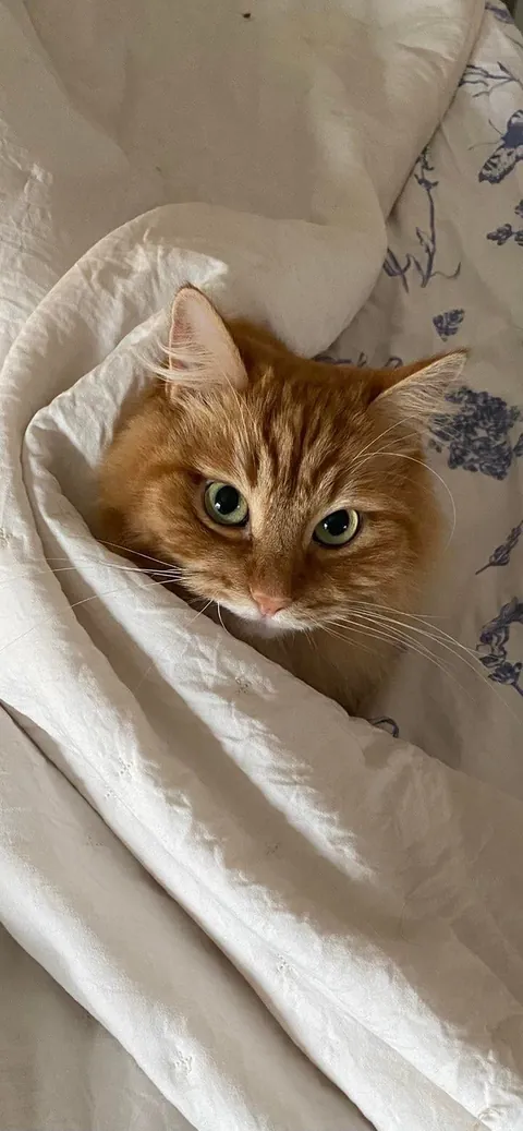 He was so loved