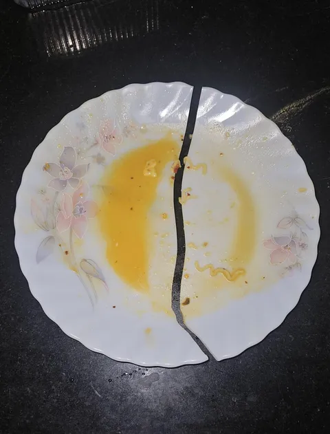 Apparently my plate couldn't handle the emotional weight of noodles