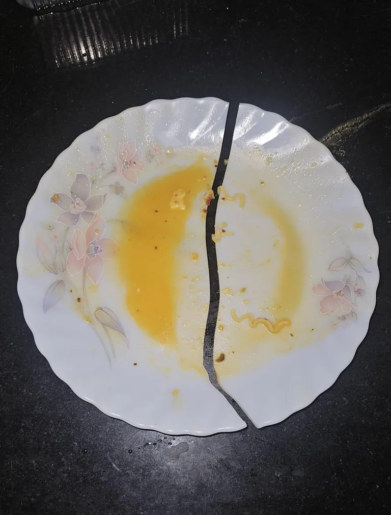 Apparently my plate couldn't handle the emotional weight of noodles
