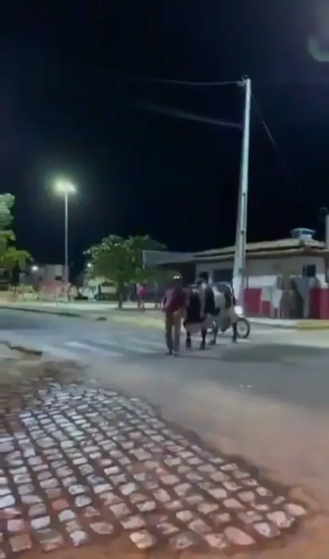 A bull is taking his drunk owner home