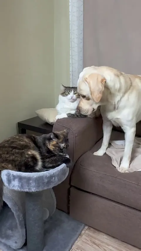 What's happening here