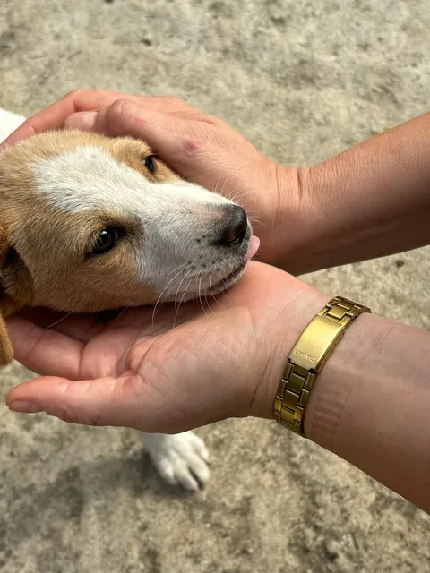 I met this little baby