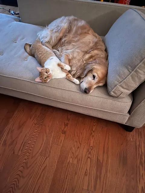 JimJim loves his Clover dog