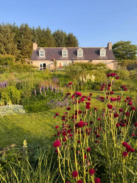 My Scottish Garden