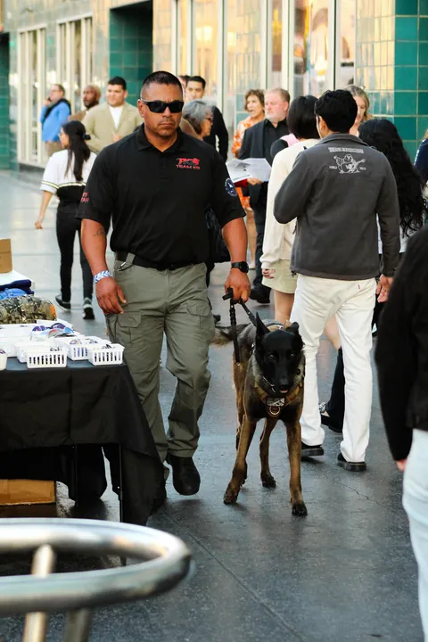 tried to capture the mood outside Kamala Harris’ book tour stop in Los Angeles on Monday [OC]