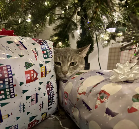 Somebody forgot to wrap one of the presents