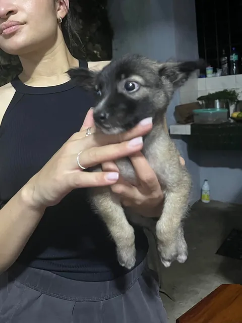 Benny is 1 year old today!