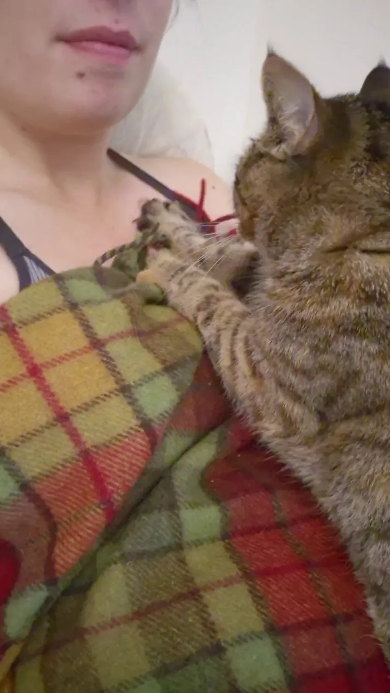 I love her SO much, but WHY does she always make claws-out biscuits on my chest and neck?? It actually hurts a bit but I don't want to turn down her affection 🥲