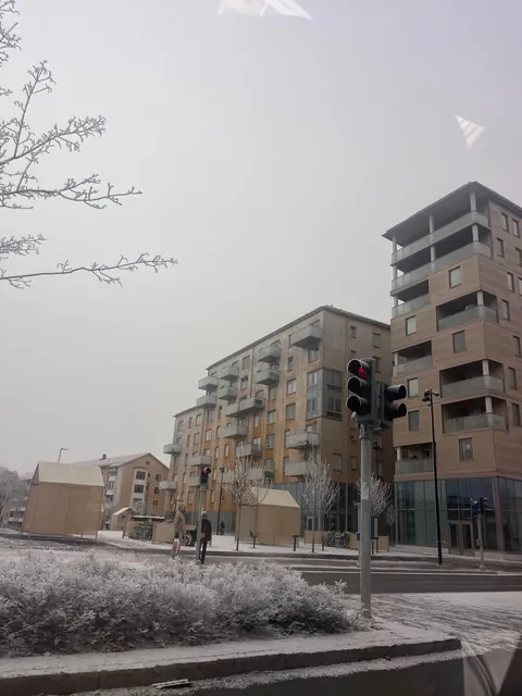 Nordic modern living. Controversial take.