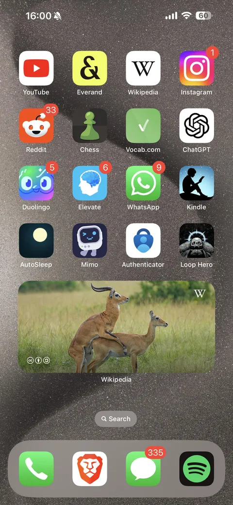 Nice picture of the day wikipedia