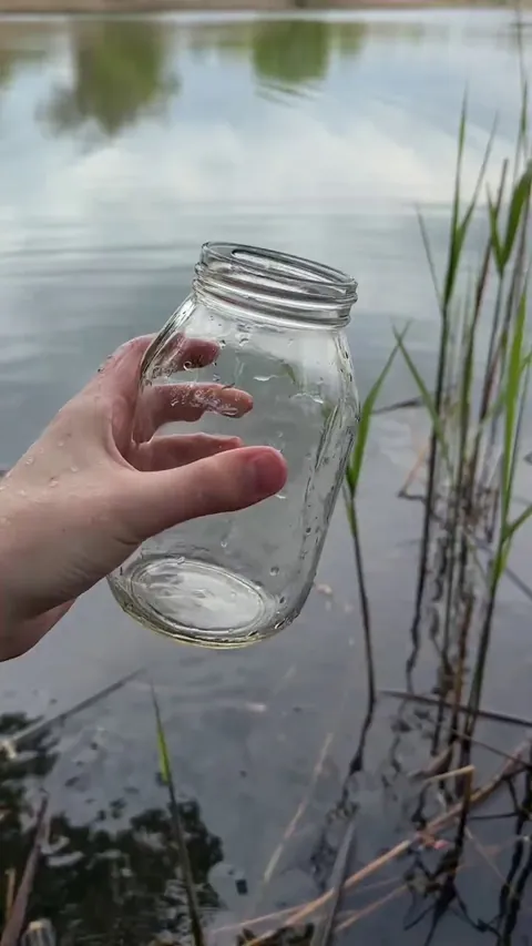 Is Boiled Pond Water Safe to Drink? Microscope Reveals All