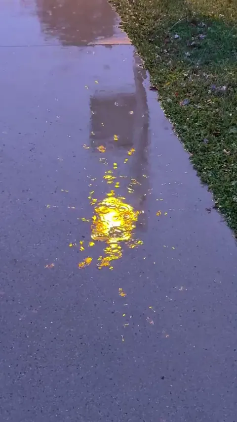 The way these rain drops flow into the reflection of the light