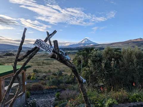 One Year in Latin America, Mexico to Patagonia