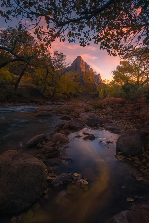 I lost my wallet this evening, but hey got a nice fall sunset at Zion National Park [OC][1335x2000]