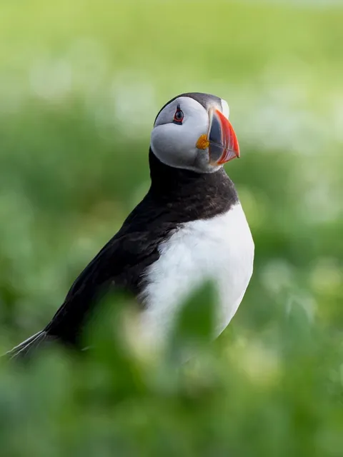 Photographer shows his POV vs the photos he takes.