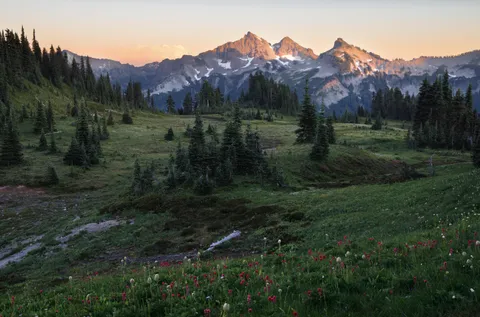 The last bit of sunlight on the Tatoosh Range, Mount Rainier National Park [OC][2950x1948]