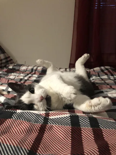 She a lady sometimes I swear!