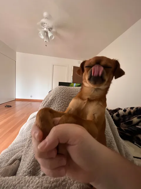 Folks call him DA BOY round these parts, his legal name is Mo