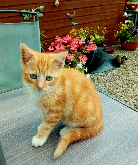 Rusty