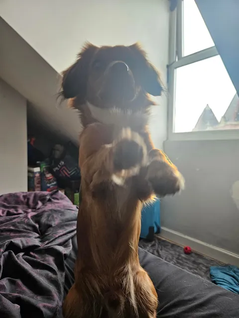 "Mother i need more attention"