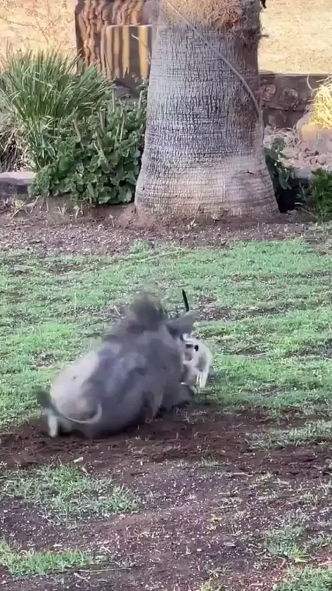 You and I know who they are