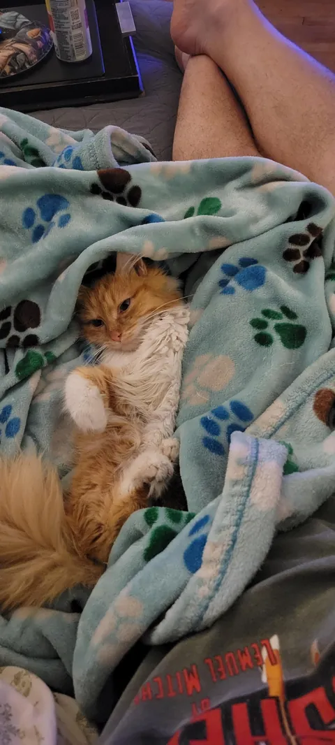 Woke up this morning and she was gone.