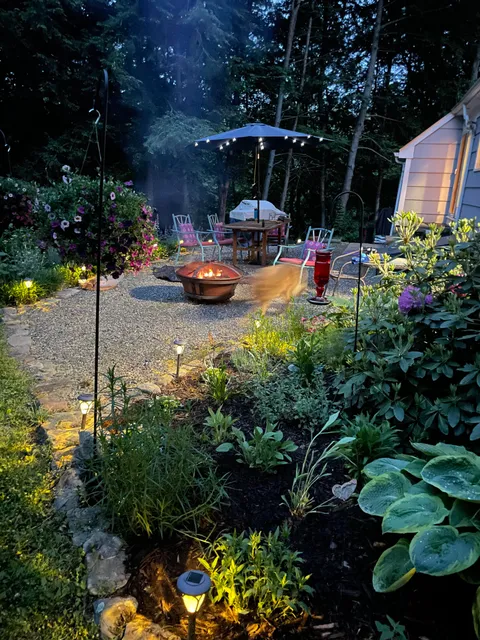 My garden this evening finally feels like a little oasis