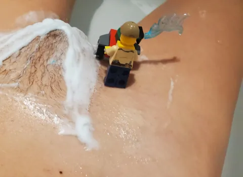 Seasonal maintenance services (f)