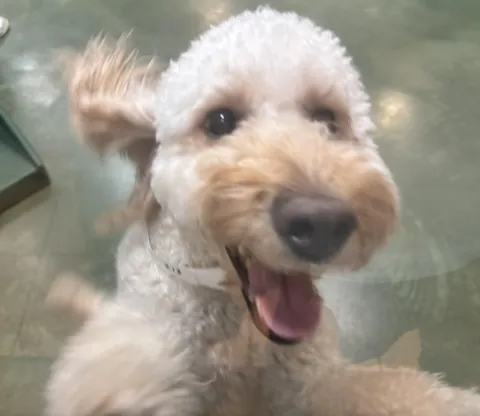 My silly boy at daycare