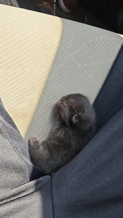 How it started vs. how it’s going