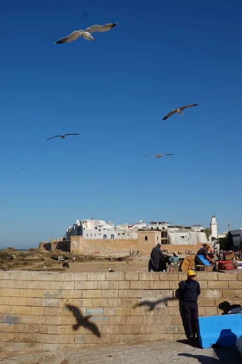 Some photos from my trip to Morocco!