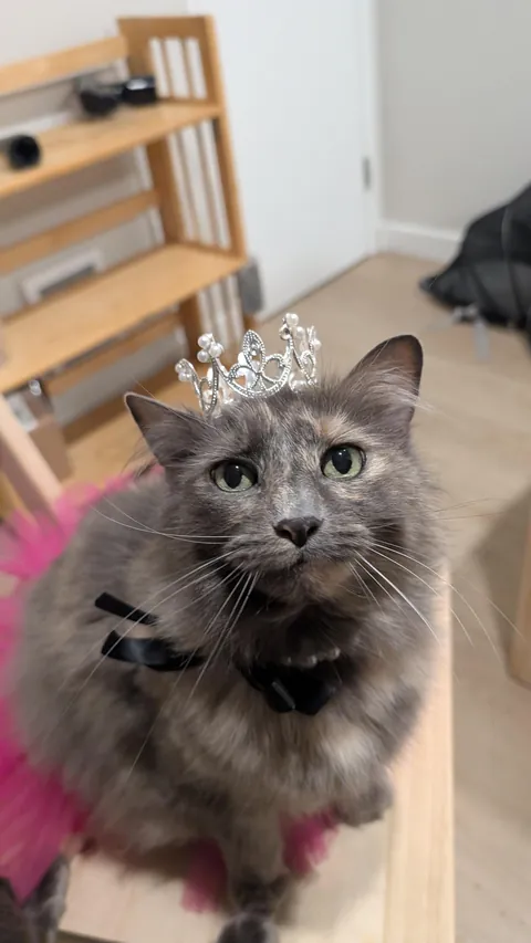 My girl turned 15 this week