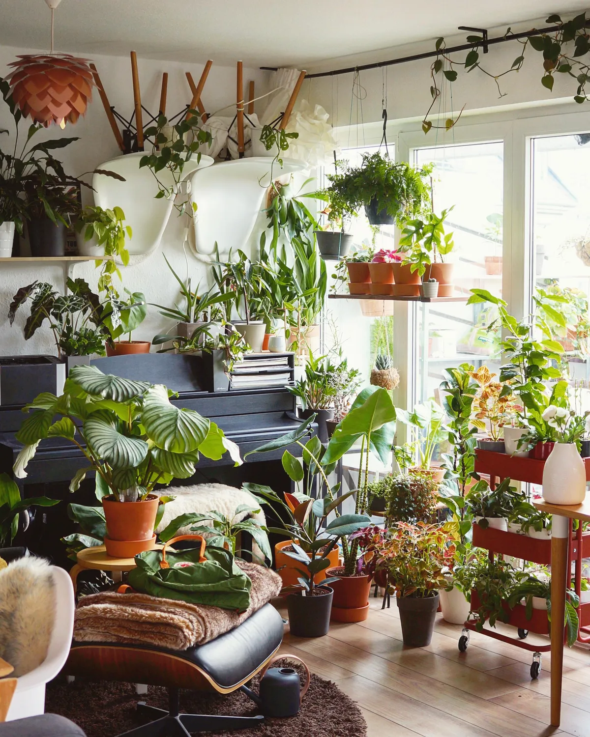 Plants are addicting.